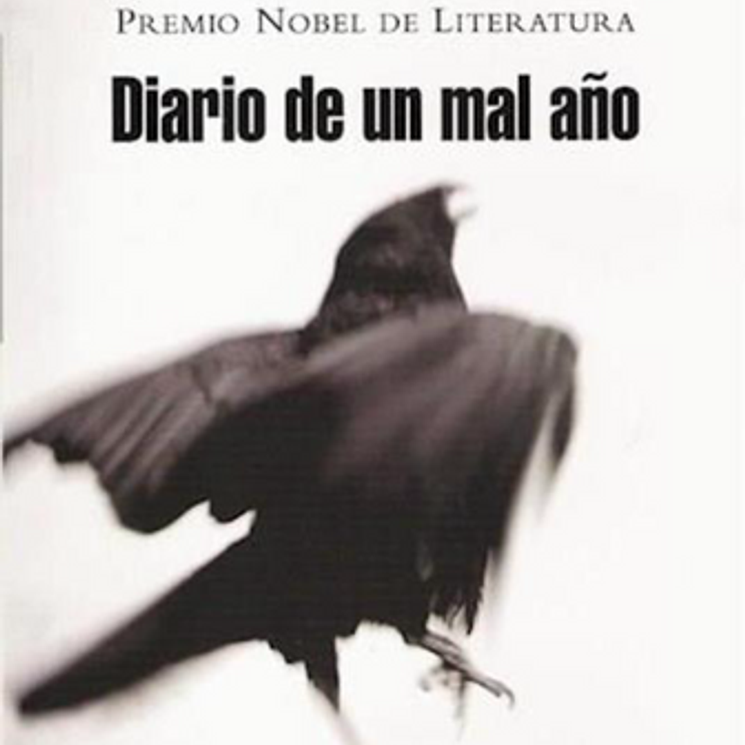 Diario De Un Mal Año 1