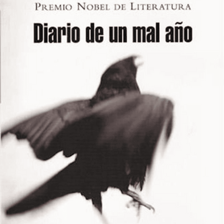 Diario De Un Mal Año 1