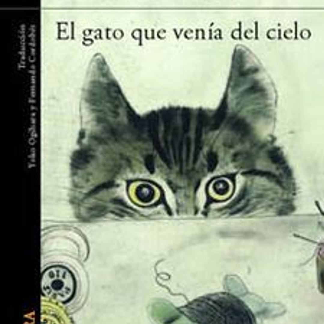 Gato Que Venia Del Cielo, El 1