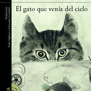Gato Que Venia Del Cielo, El