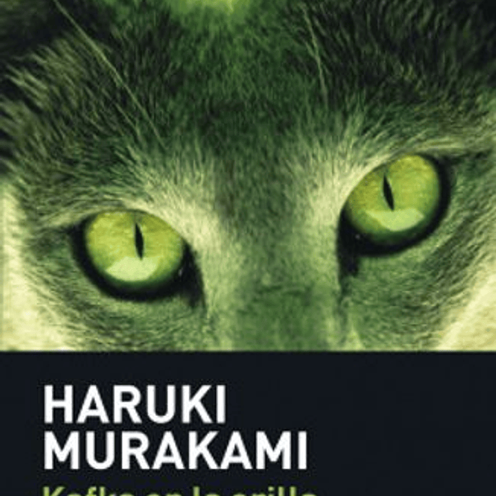 Kafka En La Orilla 1