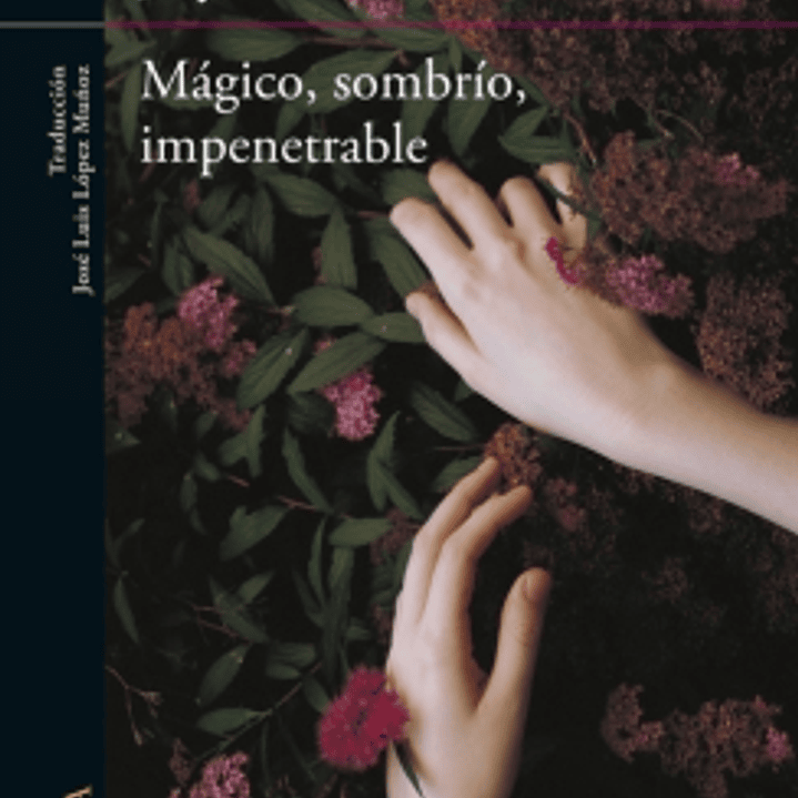 Magico, Sombrio, Impenetrable 1