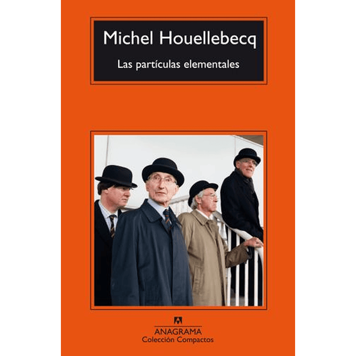 Particulas Elementales, Las 1