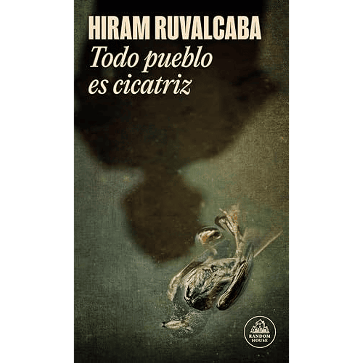 Todo Pueblo Es Cicatriz 1