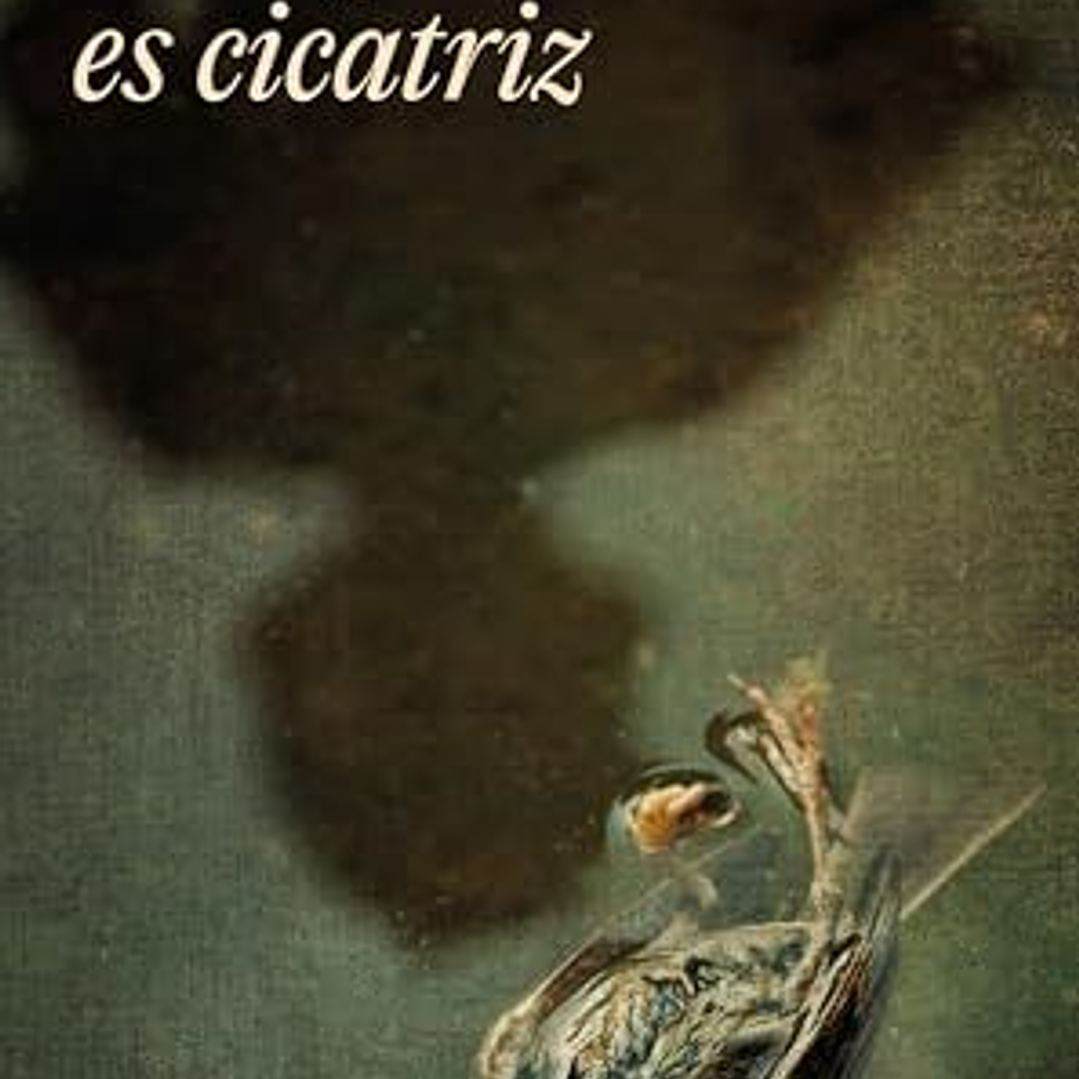 Todo Pueblo Es Cicatriz 1