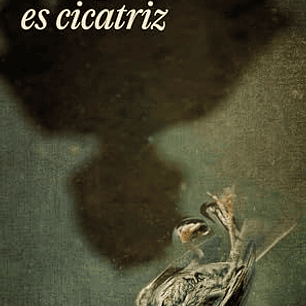 Todo Pueblo Es Cicatriz