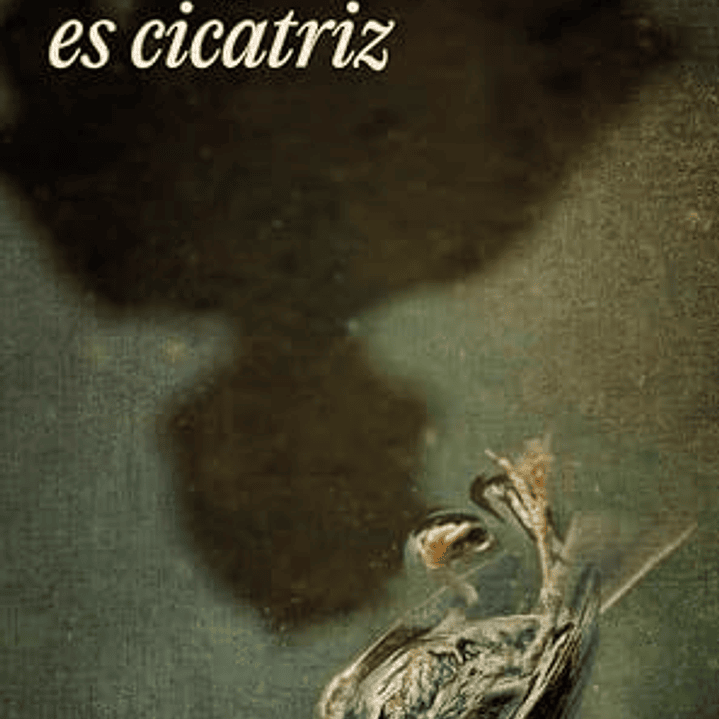 Todo Pueblo Es Cicatriz 1