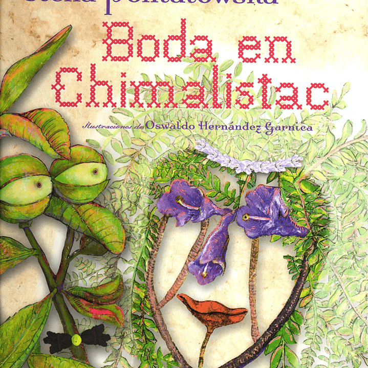 Boda En Chimalistac 1