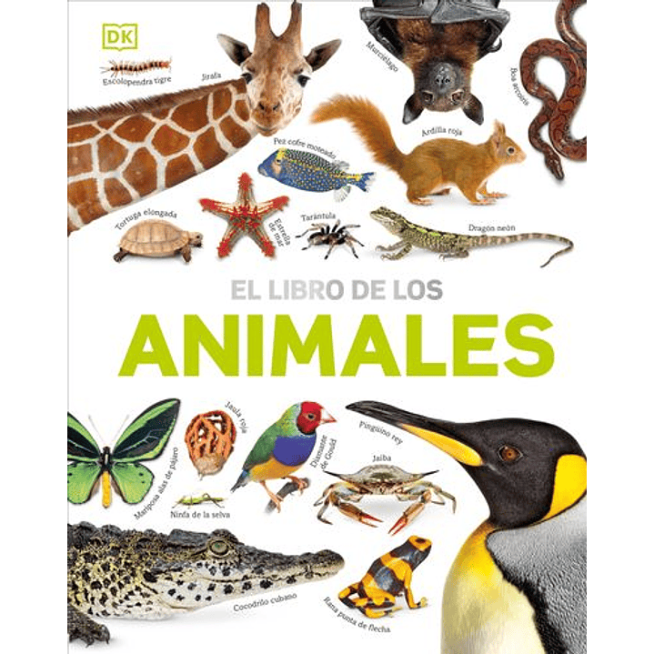 El Libro De Los Animales 1
