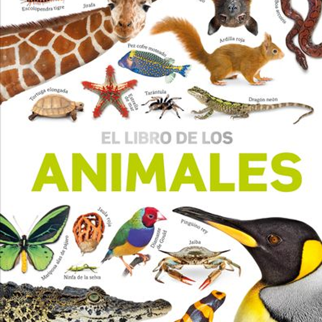 El Libro De Los Animales 1