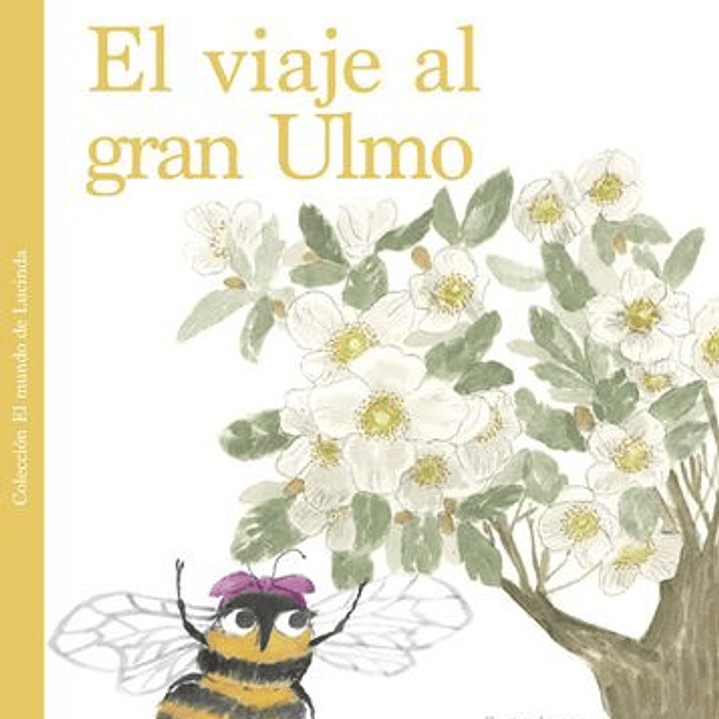 El Viaje Al Gran Ulmo 1