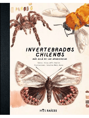 Invertebrados Chilenos
