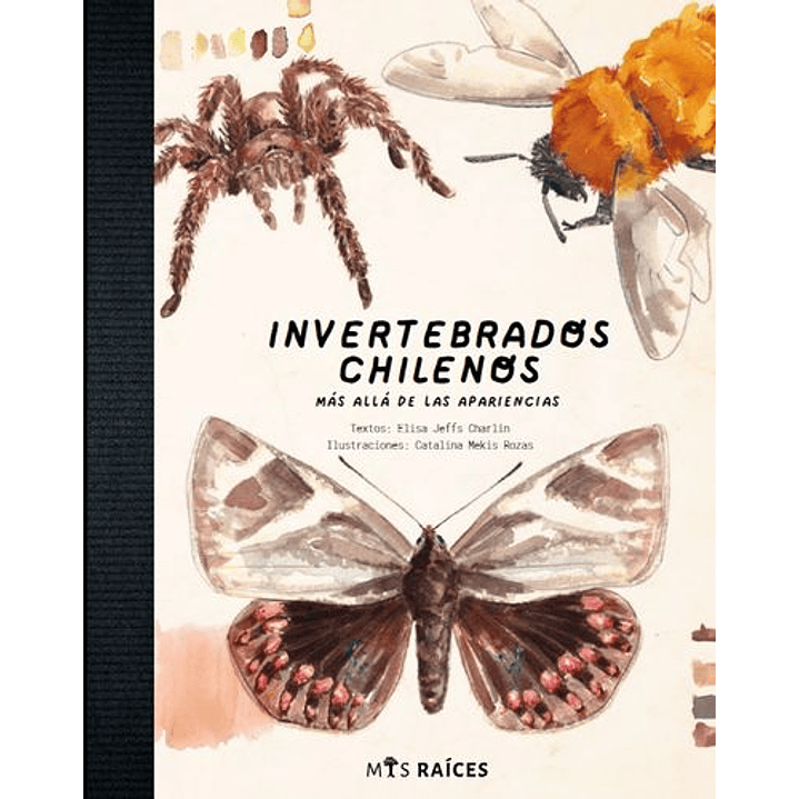 Invertebrados Chilenos 1