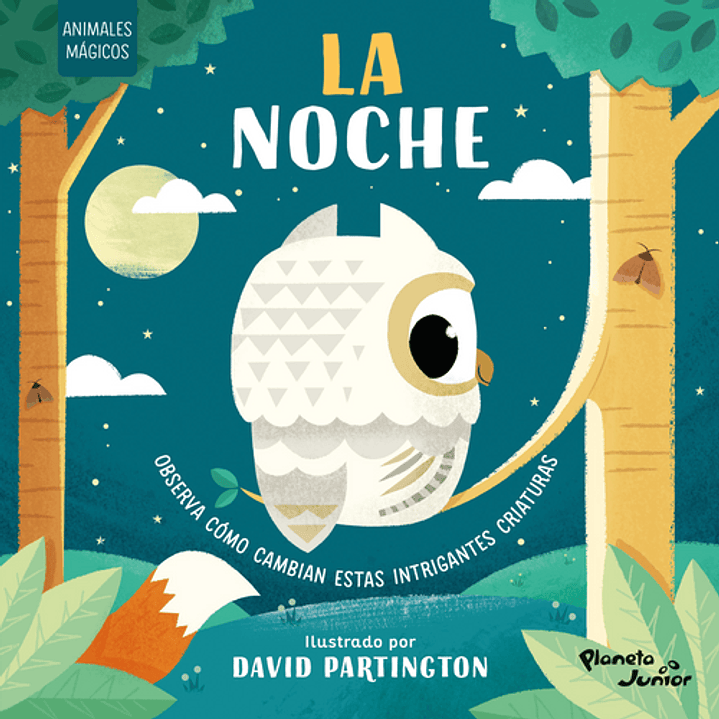 La Noche. Animales Magicos 1