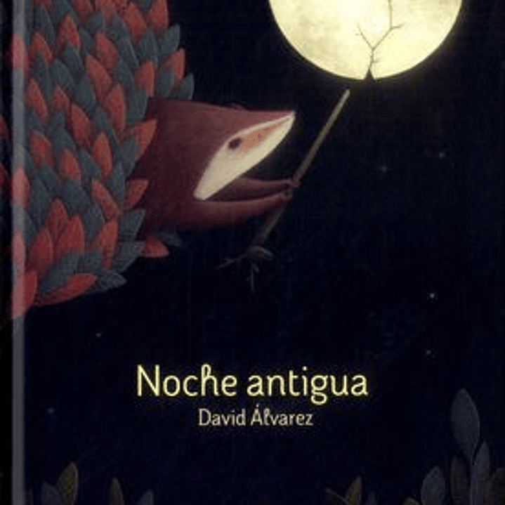 Noche Antigua 1