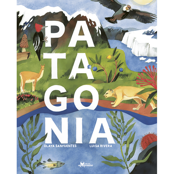 Patagonia 1