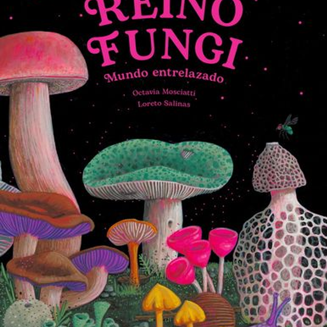 Reino Fungi 1