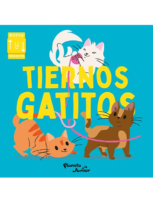 Tiernos Gatitos
