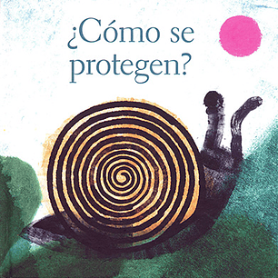 ¿Como Se Protegen?
