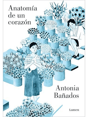 Anatomia De Un Corazon