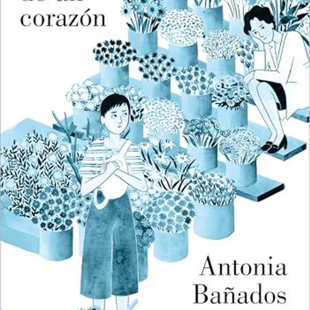 Anatomia De Un Corazon 1