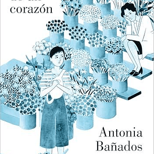 Anatomia De Un Corazon