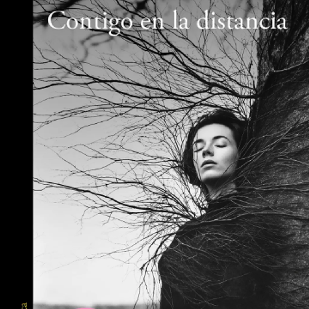 Contigo En La Distancia 1