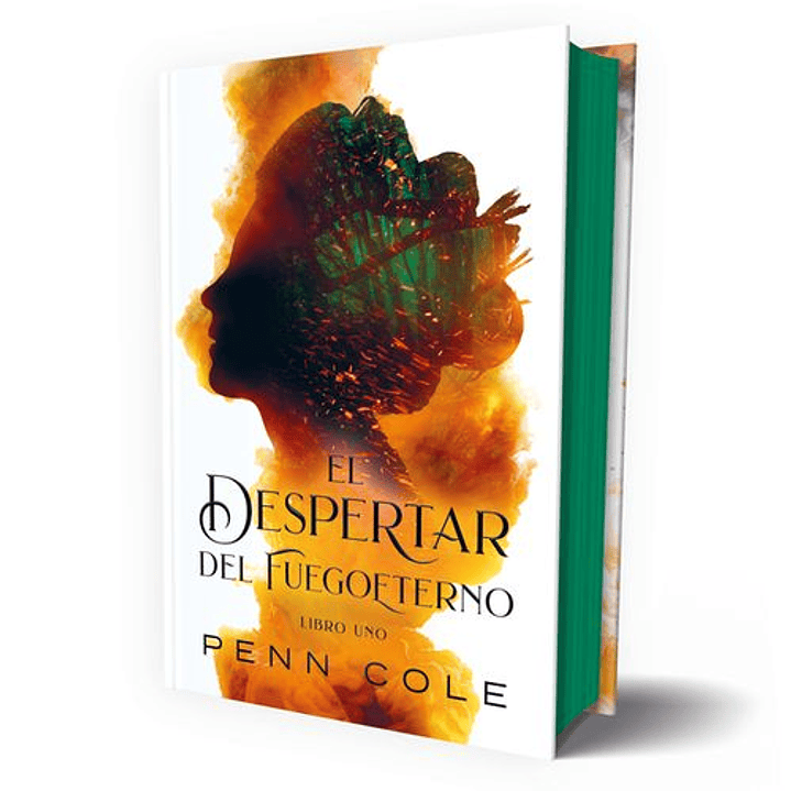 El Despertar Del Fuego Eterno Libro I 1