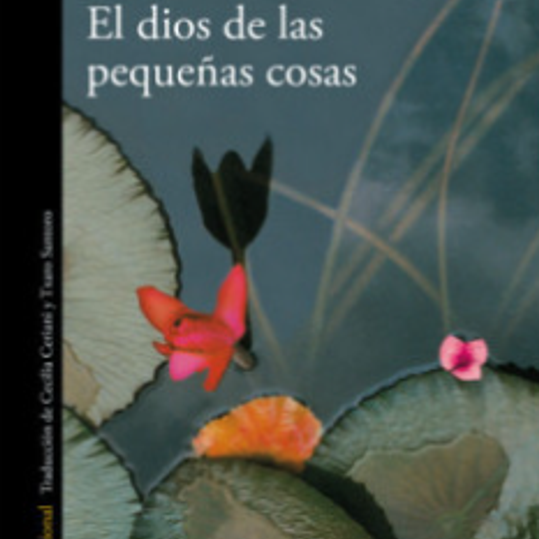 El Dios De Las Pequeñas Cosas 1