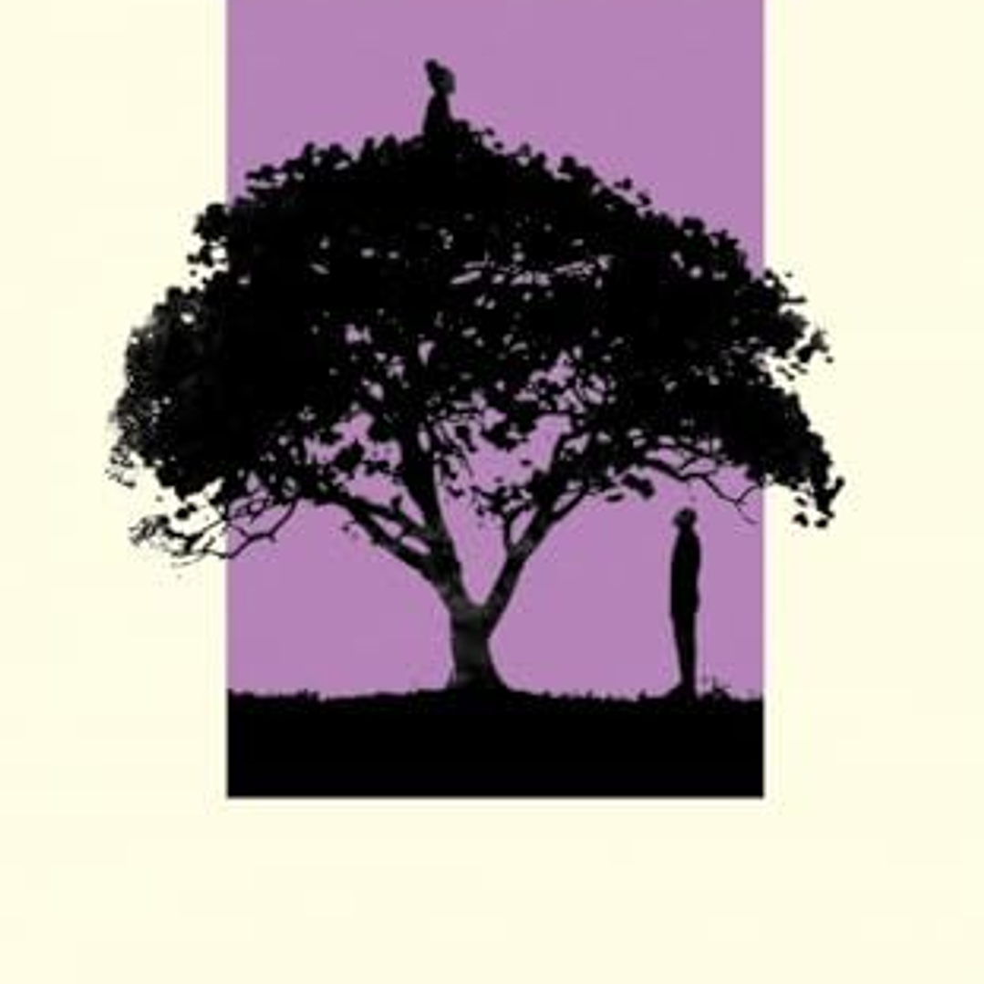 El Jacaranda 1