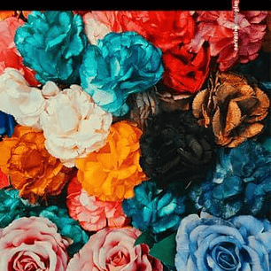 El Valle De Las Flores