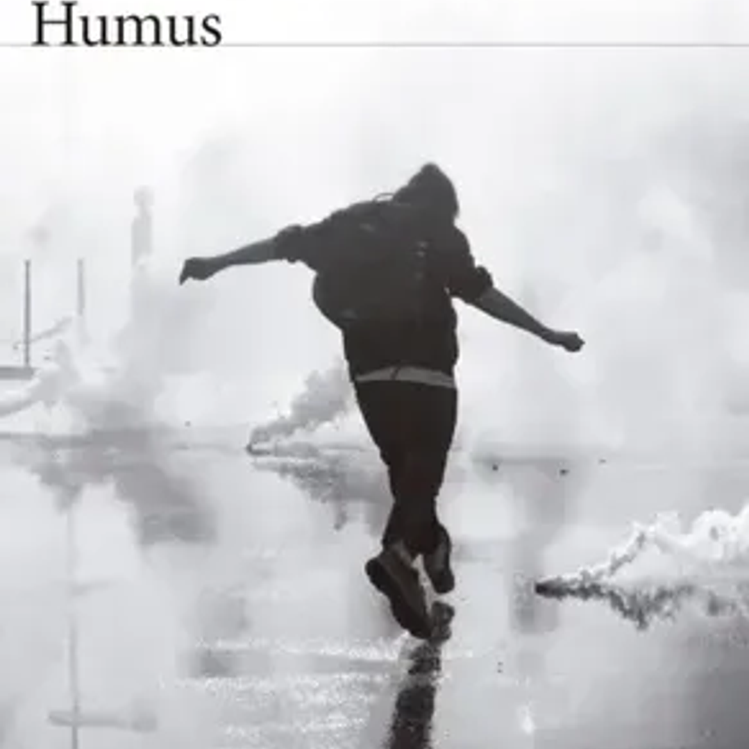 Humus 1