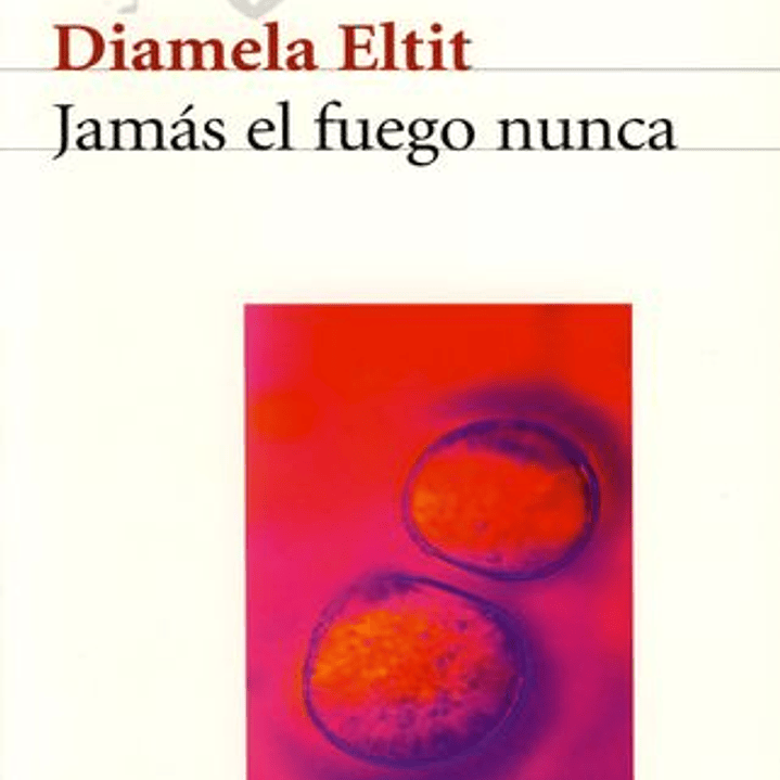 Jamas El Fuego Nunca 1