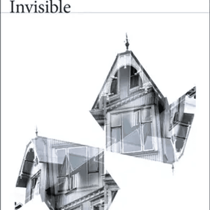 Invisible 1