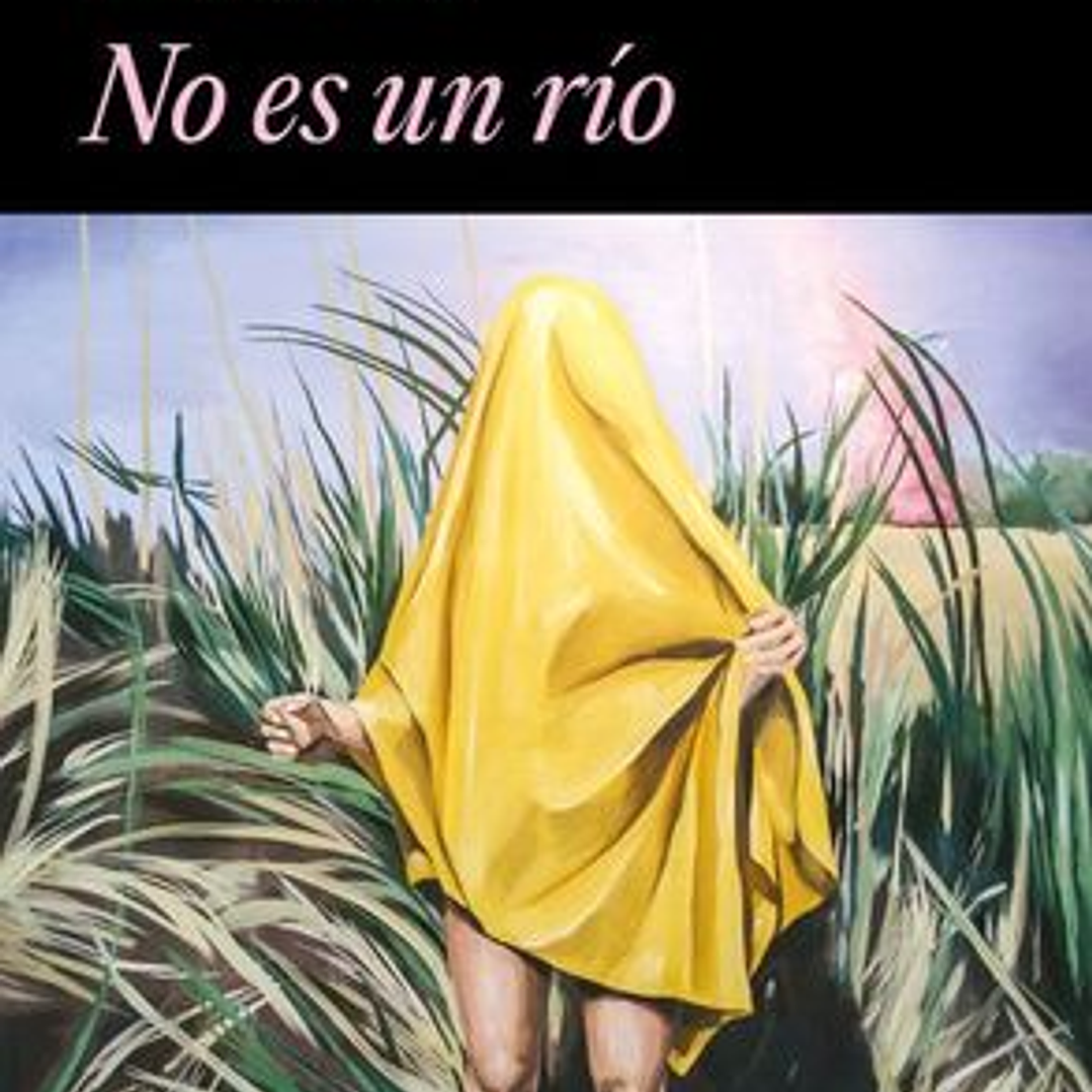 No Es Un Rio 1