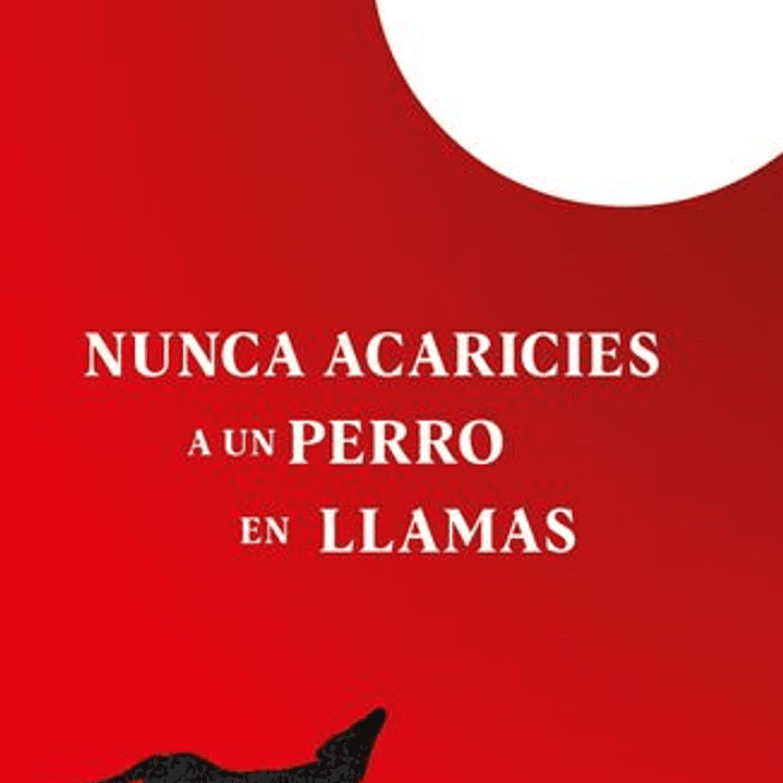 Nunca Acaricies A Un Perro En Llamas 1