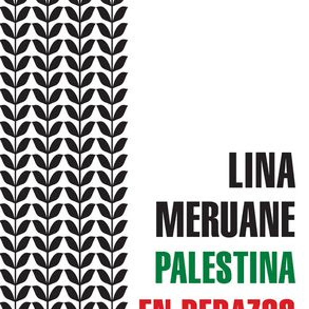 Palestina En Pedazos 1