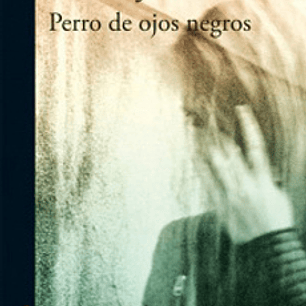 Perro De Ojos Negros