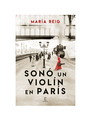 Sono Un Violin En Paris