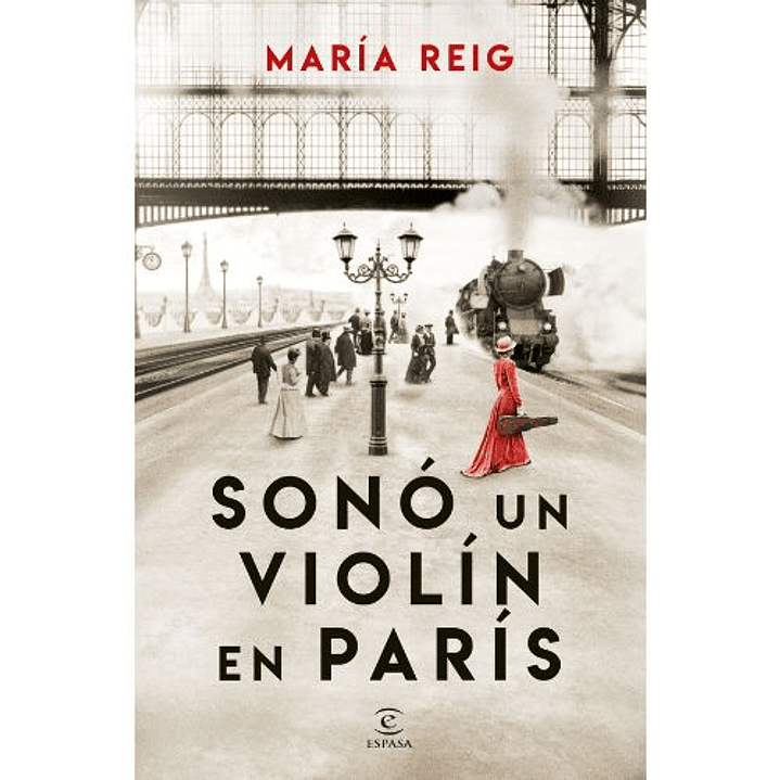 Sono Un Violin En Paris 1