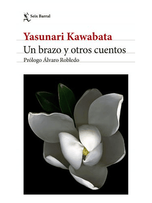 Un Brazo Y Otros Cuentos