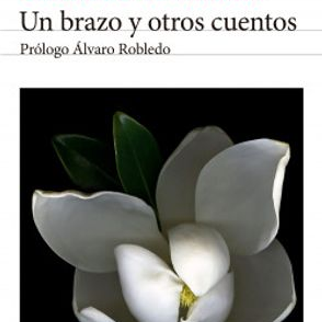 Un Brazo Y Otros Cuentos 1