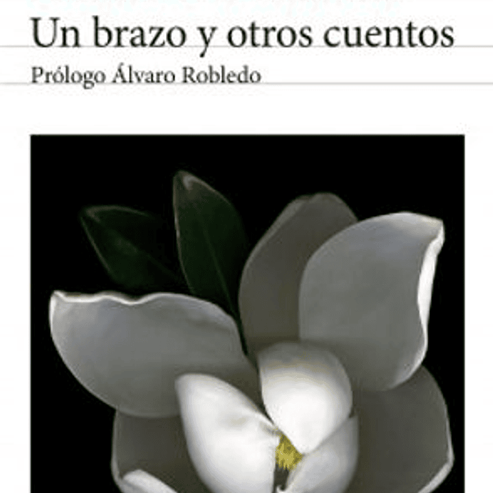 Un Brazo Y Otros Cuentos 1
