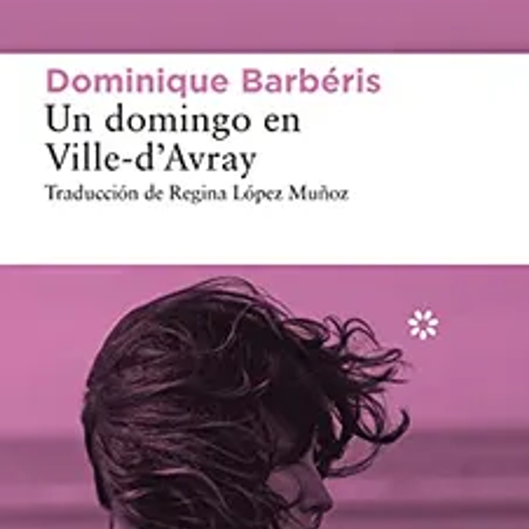 Un Domingo En Ville-dávray 1