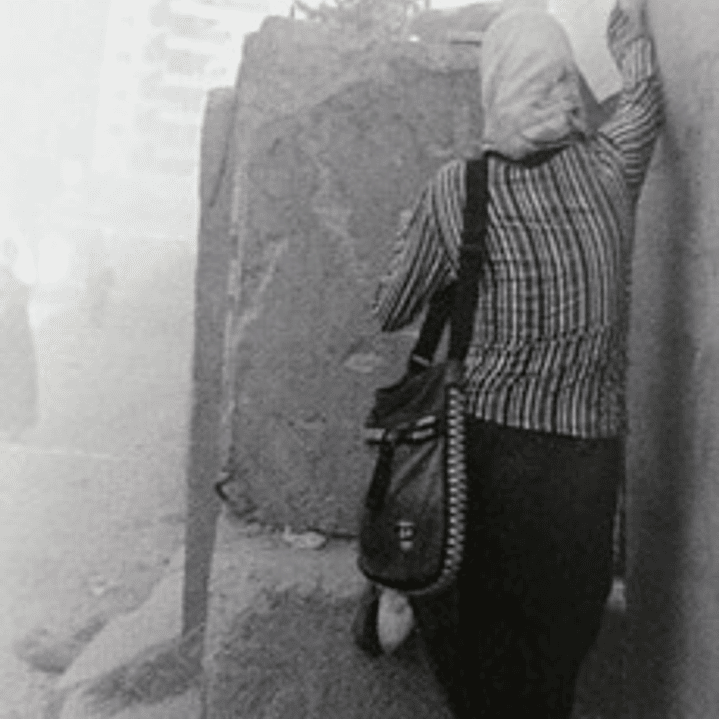 Volverse Palestina 1