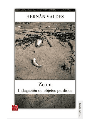 Zoom - Indagacion De Objetos Perdidos
