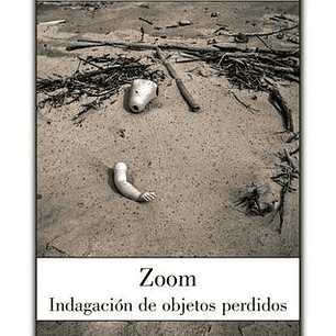 Zoom - Indagacion De Objetos Perdidos