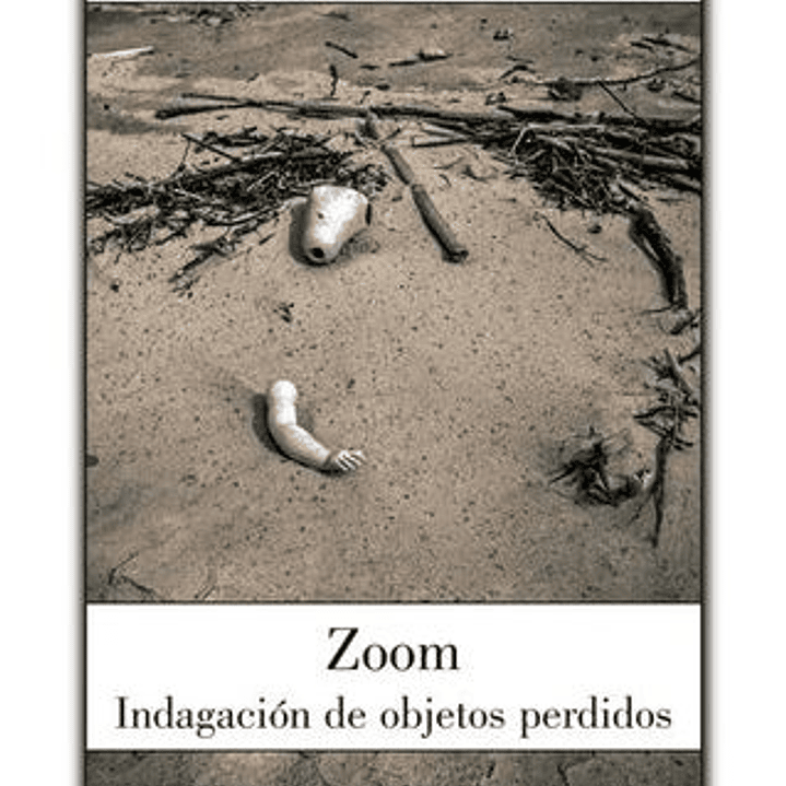 Zoom - Indagacion De Objetos Perdidos 1