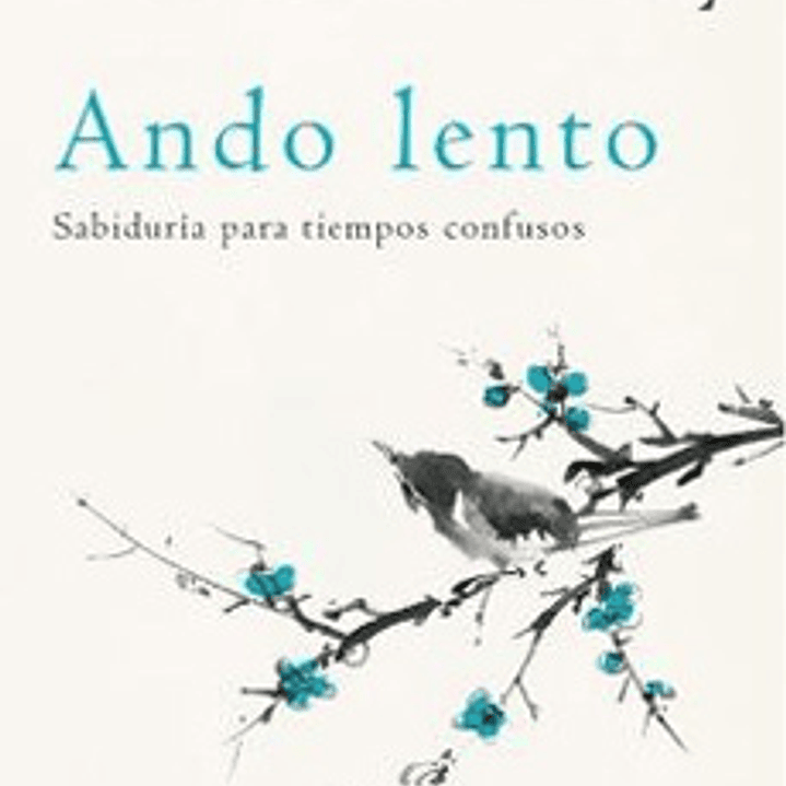 Ando Lento - Sabiduria Para Tiempos Confusos 1