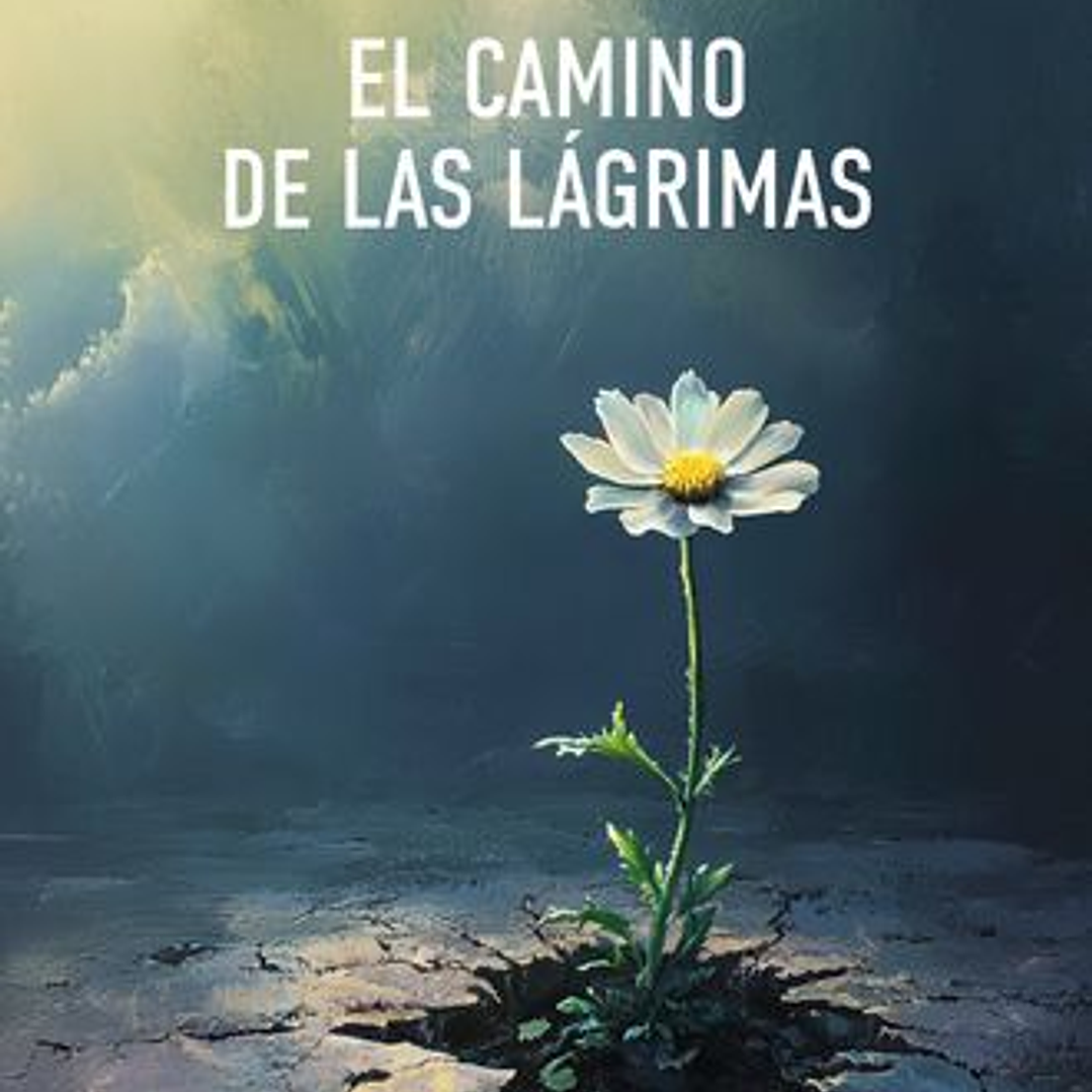 El Camino De Las Lagrimas 1